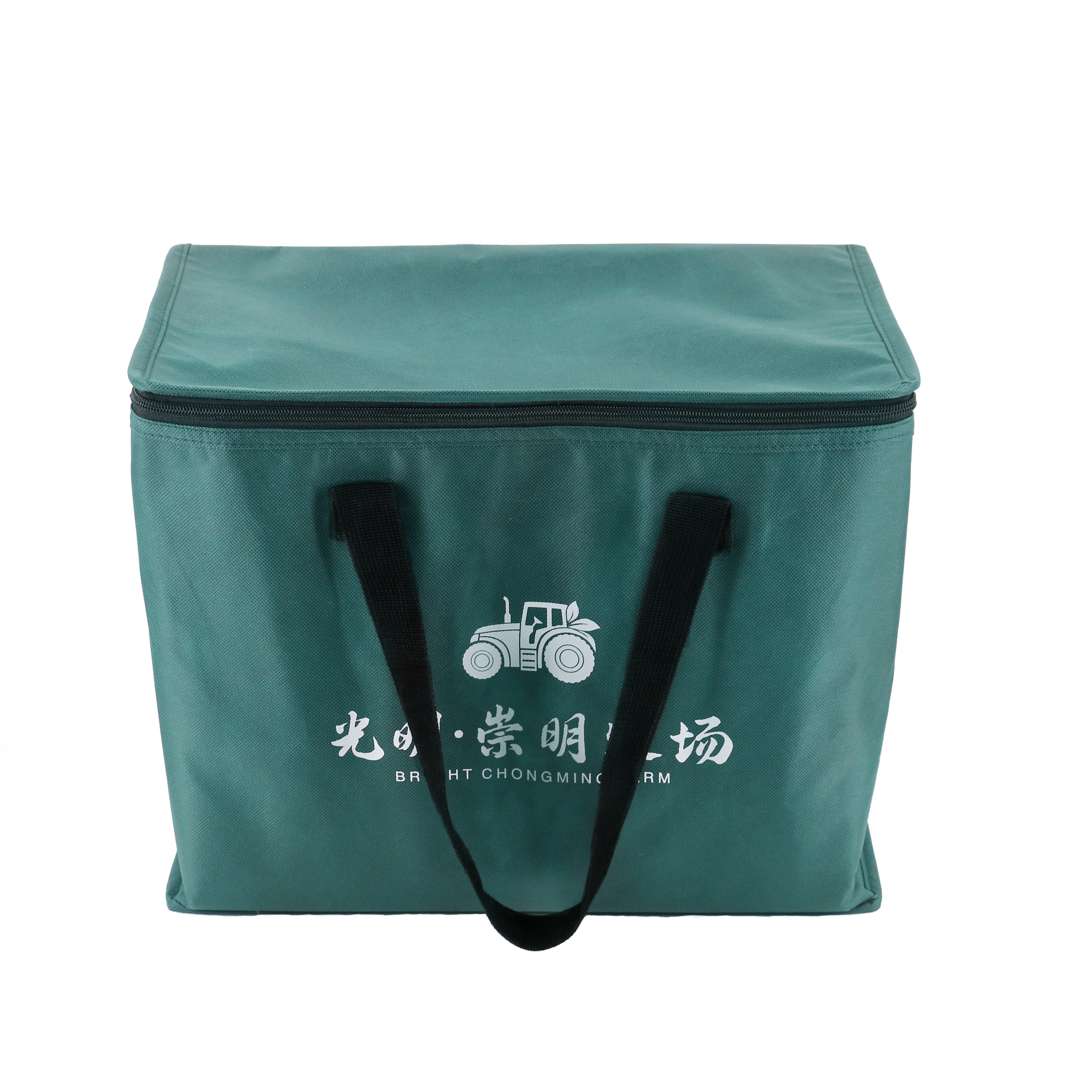 Extra large insulated cooler bag